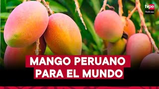 "Mango peruano para el mundo” | Mercado Peruano, 17 de diciembre del 2024