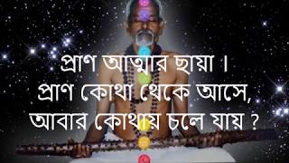 প্রশ্ন উপনিষদ - (২-৩) প্রান-বায়ুর কথা -SSPF - PROSHNA UPANISHAD - ETERNAL PEACE SEEKER