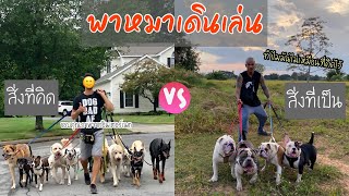 พาหมาเดินเล่น | สิ่งที่คิด VS สิ่งที่ได้