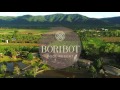 boribot drone video