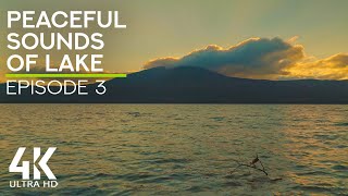 8K Peaceful Sounds of Lake - Serene Atmosphere of Lake Sunset with Relaxing Waves Sounds - Episode 3