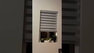 Honest Review   Zebra roller shades and blinds, Privacy