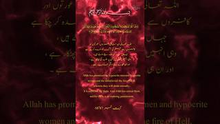surah Al toubah|ayat 67'68|with Urdu translation|English translation|Quran tilawat 🙏