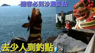 釣魚亦觀光 釣點介紹 前往方法 遠投|岸釣|沙鑽~綠鷹淺水灣釣魚樂(37)