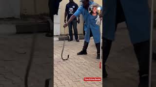 Nigerian Singer Mysteriously Bitten By A Snake In Her House: The Sad Case Of Ifunanya Nwagene