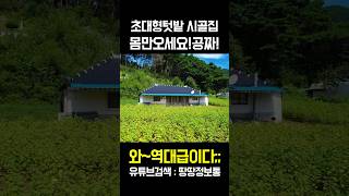 초대형텃밭 공짜시골집~ 역대급 주택이 등장했다