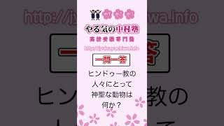 ヒンドゥー教の人々にとって神聖な動物は何か？ #地理1 #一問一答 #中学社会