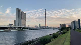 夕焼雲　隅田川　白鬚橋　東京スカイツリー　　南千住　ガスタンク　　　2021年 10月20日　iPhone SE 　スマートフォン