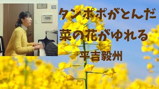 タンポポがとんだ　菜の花がゆれる・平吉毅州 ／The Dandelions are Flying   The Rape Blossoms Sway ・Takekuni Hiroyoshi