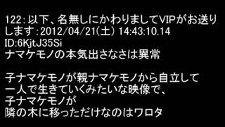 【コメつき】2ch　飲み物をむせるレス集【腹筋崩壊】