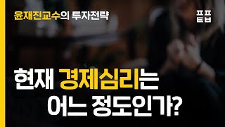 [윤재진교수의 투자전략] 현재 경제심리는 어느 정도인가?