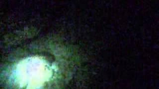 Benissa Night Dive.wmv