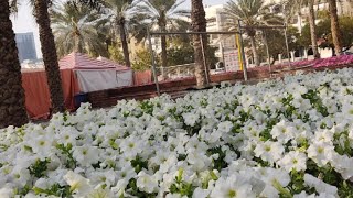 karama park Dubai