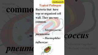 Typical pathogen | #shorts | Bacteria | Cell wall | Gram positive bacteria | Components of bacteria⚡