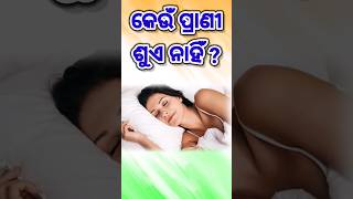 ସାଧାରଣତଃ ଜ୍ଞାନ ! କେଉଁ ପ୍ରାଣୀ ଶୁଏ ନାହିଁ ? #viral #tranding #odia #knowledge #2023 #gk