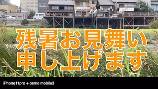 2020年 残暑お見舞い申し上げます　集客 動画　株式会社コラボズ