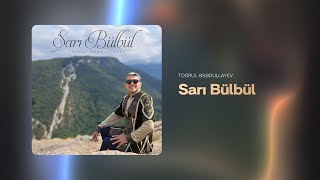 Toğrul Əsədullayev — Sarı Bülbül (Rəsmi Audio)