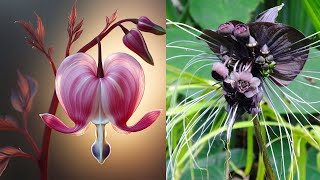 16 Most Unique Flowers