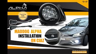 Maddog Alpha Light on Maruti Suzuki Ciaz