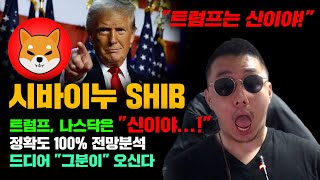 시바이누 SHIB [긴급] 1월말 \