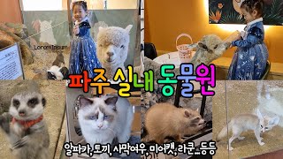 파주 실내 동물원, 테이블에이 - 동물 러버 루리