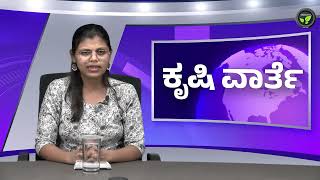 ಕೃಷಿ ವಾರ್ತೆ 24-02-25 | Agri News | Pepper GST Free | Groundnut Procurement | Kashmiri Agriculture