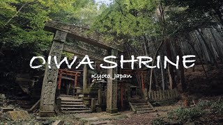 Exploring haunted miraculous Shrine in Kyoto [Oiwa Shrine] #japan #forest #nature #shrine