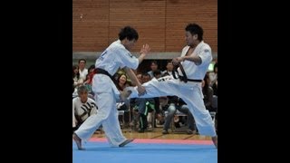 【新極真会】第29回全四国大会　一般上級の部　準々決勝3　SHINKYOKUSHINKAI