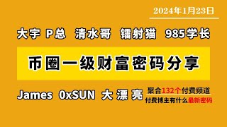 1.23，币圈一级市场走势:VINE牛逼开局2小时制造100倍涨幅！AI退潮以后，要如何操作？明天有期权交割，比特以太可能会去到哪个点位？#aixbt #vine #trump #btc