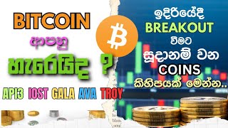 🟢🔴BITCOIN පෙරලියකට සූදානම්.. | මේ Coins දිහා දැම්ම බලන්න..