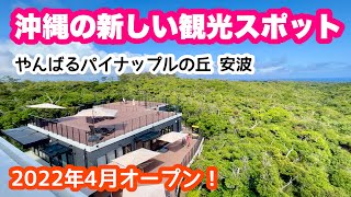 【2022年最新情報】道の駅 やんばるパイナップルの丘 安波（アハ）オープン【沖縄旅行】