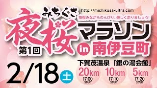 第1回 みちくさ夜桜マラソンin南伊豆町