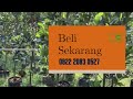 0822 2083 0527 tsel pusat hortikultura bibit nangka merah terdekat