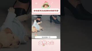 狗狗：妈妈酱，衣服卡我咯吱窝了~#小狗  #搞笑  #可爱  #萌宠