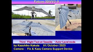 ハヤブサ型羽ばたき機　3回目の試験飛行　Falcon30iVV3-9 : Third Flight Test at Seaside　AutoLevel mode