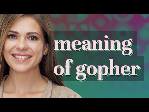 What is the meaning of gopher?