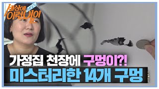 평범한 가정집 천장에 뚫린 미스터리한 구멍!ㅣ순간포착 세상에 이런 일이(Instant Capture)ㅣSBS Story