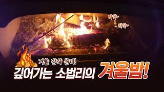 겨울 장작 준비! 깊어가는 소법리의 겨울밤! :: 전피디의 시골살이 22화