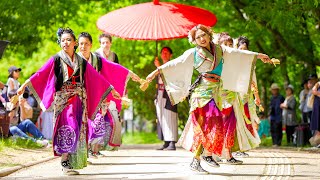 [4K] 浪花乱風 ２部　長居植物園deEXPOよさこい2025×高知県マルシェ 2024