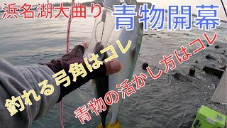 浜名湖大曲りでアブコ好調