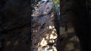 Horseshoe Canyon Ranch (HCR) - Crimp Scampi 2019