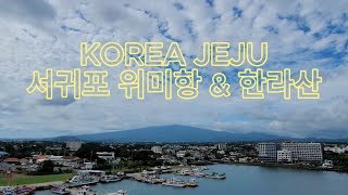 KOREA JEJU 제주도 서귀포 위미항 \u0026 한라산 환상적인 구름 한라산이 열리길 기다리며... #travel #jeju #풍경 #제주여행 #힐링 #korea #여행