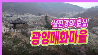 [하늘에서 본 매화마을 🌄4K Drone] 광양 매화마을, 홍쌍리 매실농가, 매화명소에 꽃구경 가세요^^  국내 최대의 매실농원인 청매실농원이 자리하고 있는 매화마을