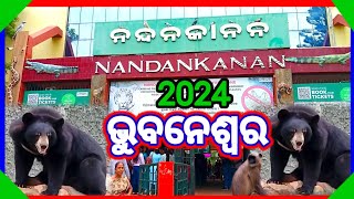 ନନ୍ଦନକାନନ ଭୁବନେଶ୍ଵର 2024 nandankanan Bhubaneswar #bhubaneswar #papuswain