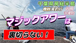 【釣行】房総半島 沖堤防まだまだ釣れてます！ 2024晩秋 実釣