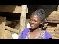 shamba shape up sn 13 ep 19 composting improved kienyeji vegetables and bag garden english