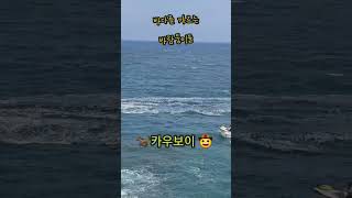 요즘💥핫💥한