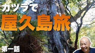 【旅】カツラで屋久島に行きました【Katsura】