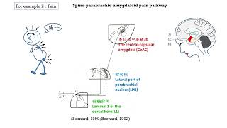 神經科學核心實驗室