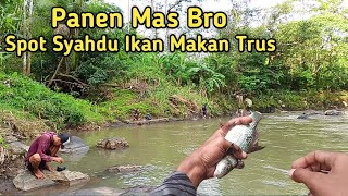 Panen Mas Bro.. Mancing Ikan Nilem ❗Spot Syadhu Ikan  Makan Terus❗